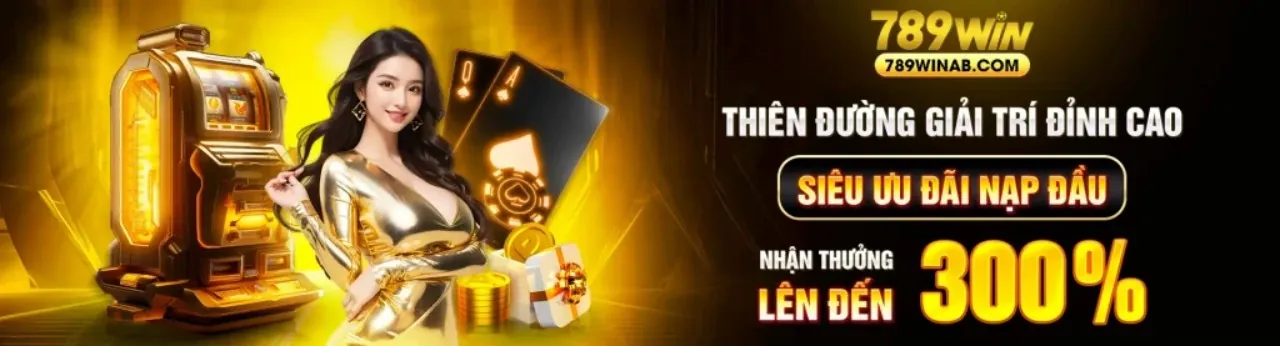 Bước 3: Tích lũy điểm và thăng cấp VIP